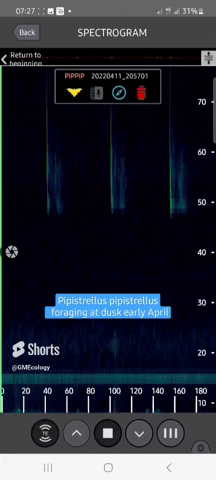 Pip com chasse - expansion x10