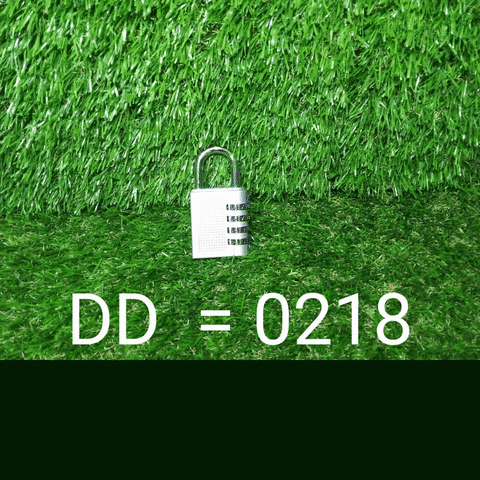-4 Digit Combination Padlock -4 Digit Combination Padlock
