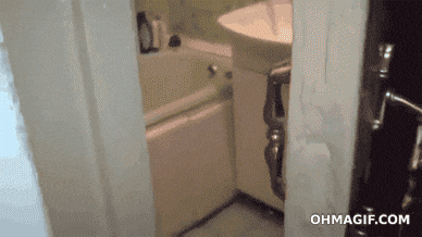 giphy.gif
