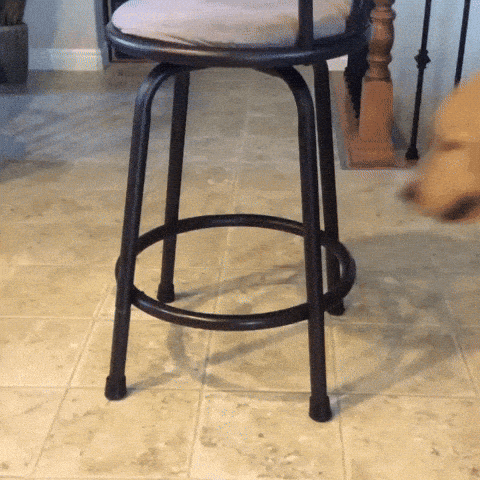 giphy-downsized-large.gif