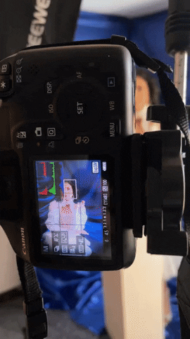 giphy.gif