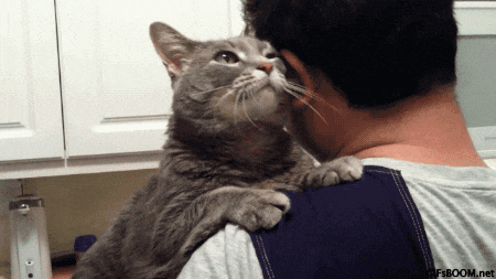 [Image: giphy.gif]