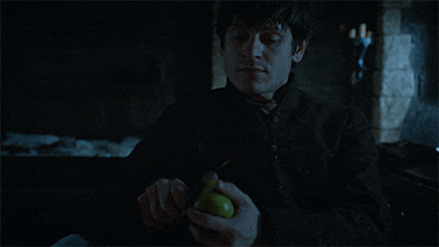 giphy.gif