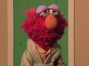 giphy.gif