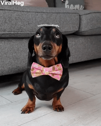 Add-ons gif
