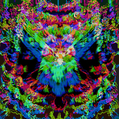 Into the Freud
