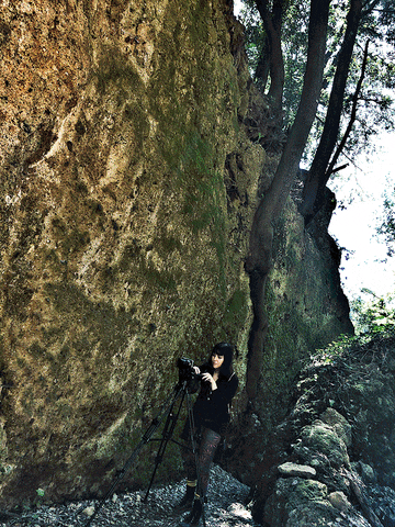 Lumen Naturae