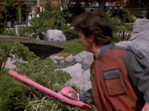 giphy.gif
