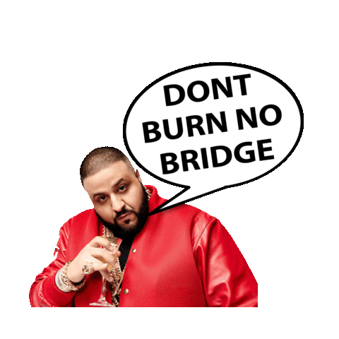 Native redemption vs. bridged — Bridged Stablecoins