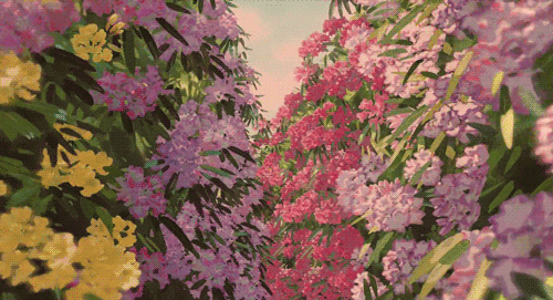 more flowers