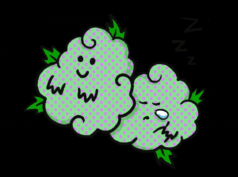 giphy.gif