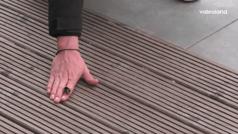 giphy.gif