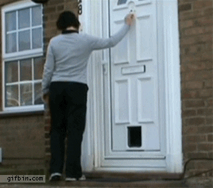 Confused Knock Knock GIF - Find & Share on GIPHY