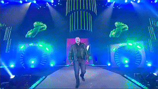 11. Triple H looking for Bray Wyatt Giphy