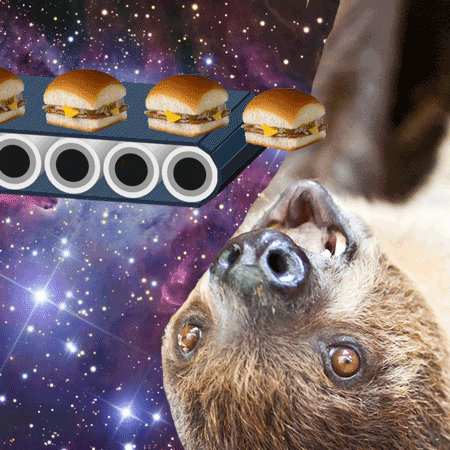Space sloth agrees.