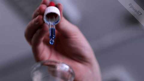 Animoitu GIF