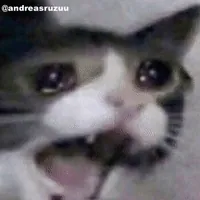 Crying Cat