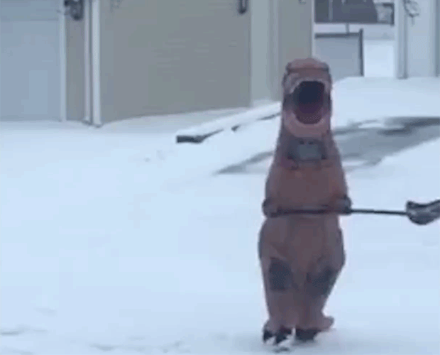 T Rex Good Dino GIF