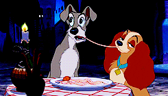 Lady and the Tramp Love