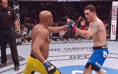 Wanderlei Silva Pride Gif