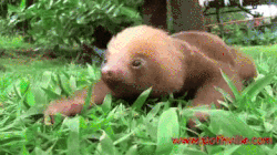 httpswwwyoutubecomwatchv5tdokh1kyuqt21