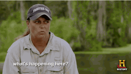 Swamp People confused history question swamp people gif