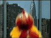 giphy.gif