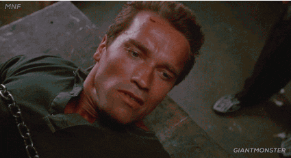 Remember Arnold Schwarzenegger GIF