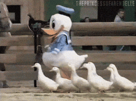 crossy road baby duck animated gif crossy road baby duck animated gif