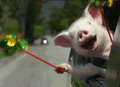 cerdo horoscopo chino. guddi cerdo horoscopo chino. guddi