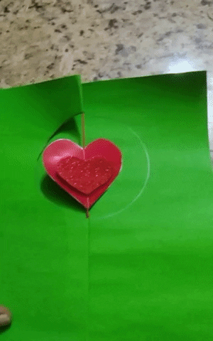 giphy.gif