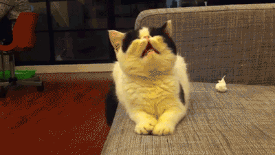 Sneezing GIF - Find & Share on GIPHY