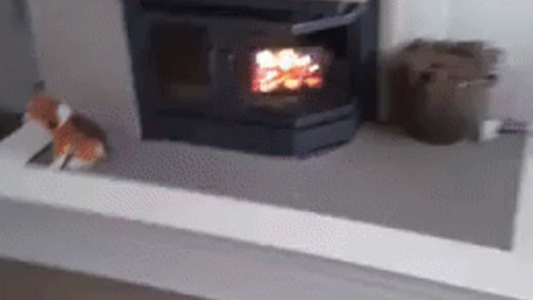 Rate My Fireplace