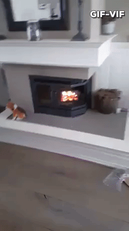 Rate My Fireplace in funny gifs