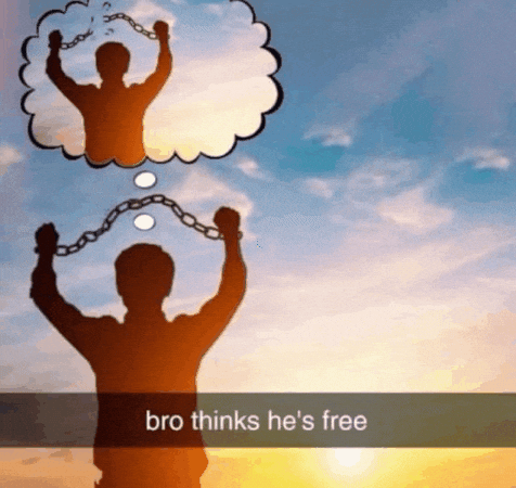 Bro Thinks He is Free