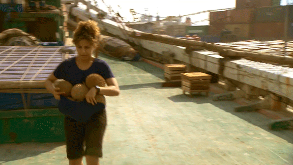 Amazing Race GIF by CTV Find & Share on GIPHY