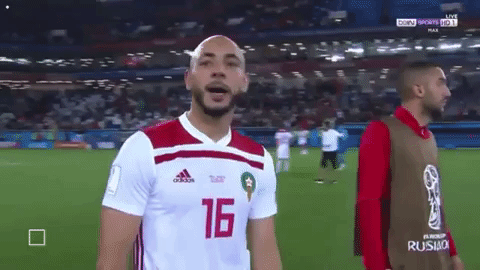 Nordin Amrabat: VAR is bullshit. : r/soccer