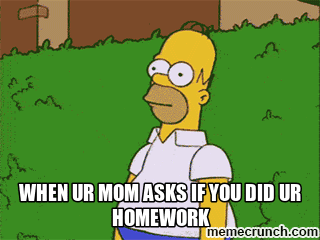 Vacation and Homework