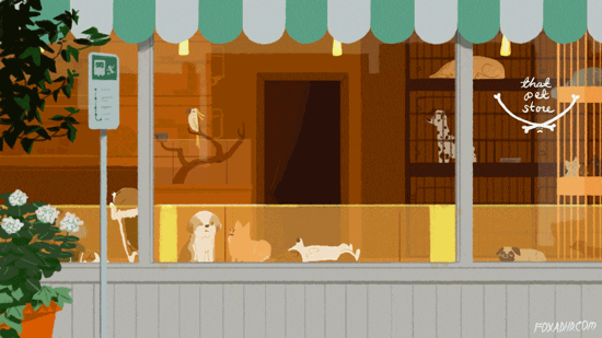 Olivia Huynh animation dogs 2d animation original work