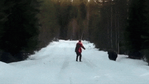 https://media.giphy.com/media/vQ7IUjSA9zGTe/giphy.gif