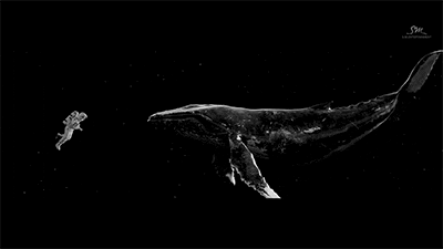 Image result for whale space gif