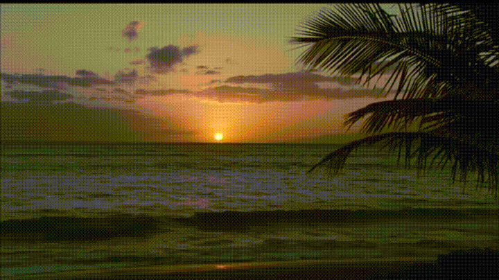 Beach Sunset GIF - Find & Share on GIPHY