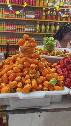 Mercado Municipal de Aracaju