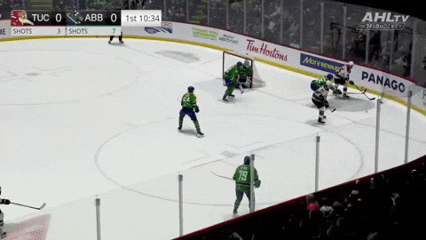 giphy.gif