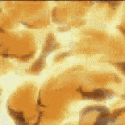 giphy.gif