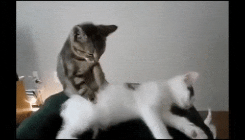 therapists