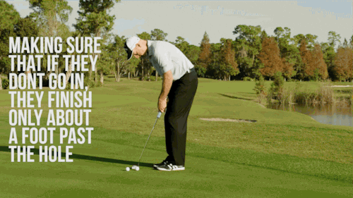 Golf News GIF Find Share on GIPHY