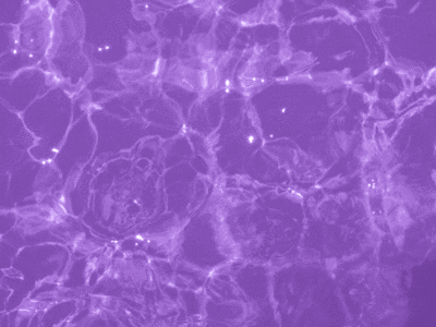 purple aesthetic wallpaper laptop gif