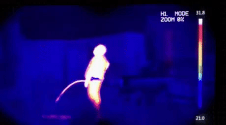 Thermal image of the year in funny gifs