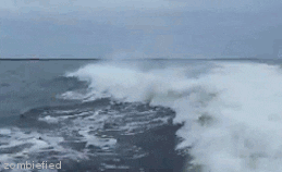 dolphin retroarch crashes dolphin retroarch crashes